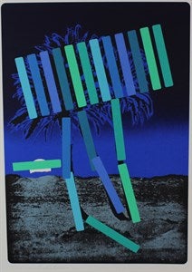 Image description is not available for FIM2015.394.6